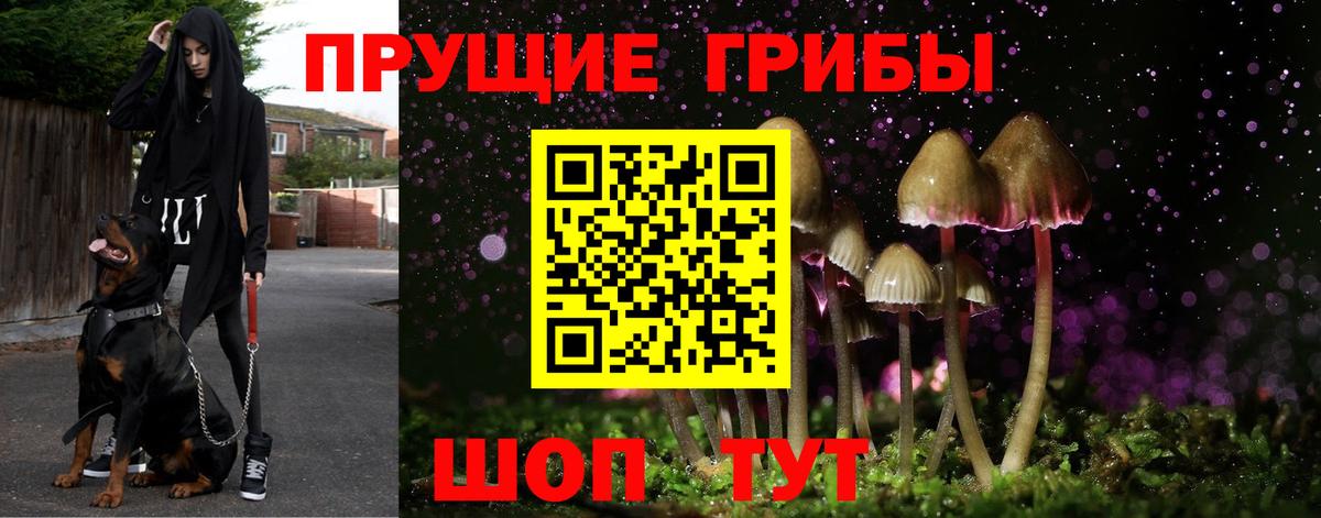 Галлюциногенные грибы MAGIC MUSHROOMS  Вход с VPN  Бирск 
